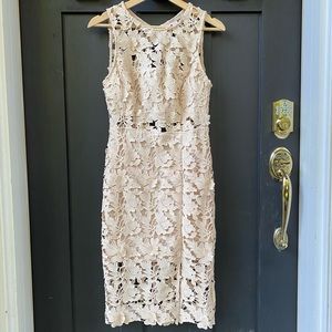Pink Lace Dress